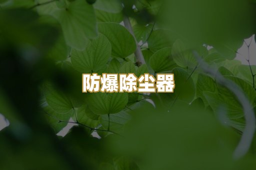 防爆除尘器